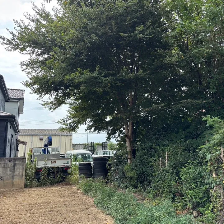 名称_未_設定-2 (62)