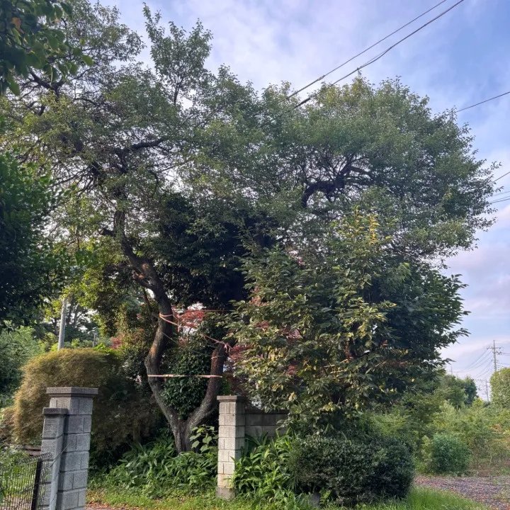 名称_未_設定-5 (21) (1)