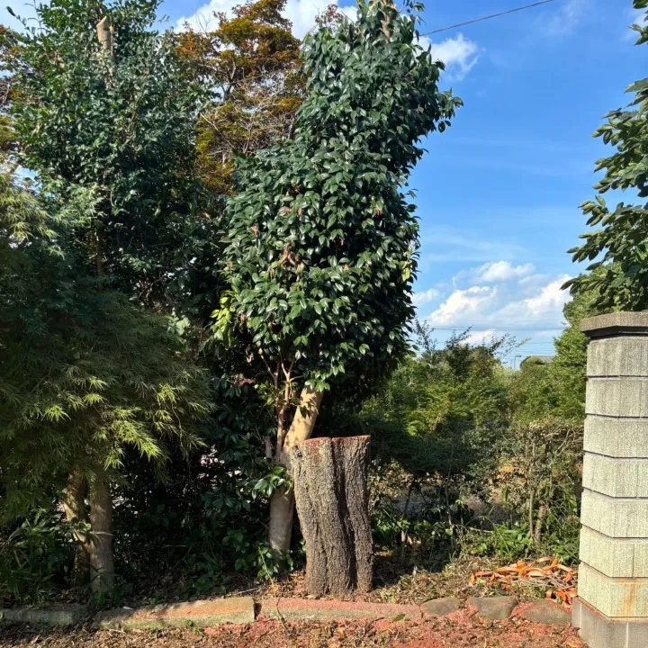 名称_未_設定-6 (7) (1)