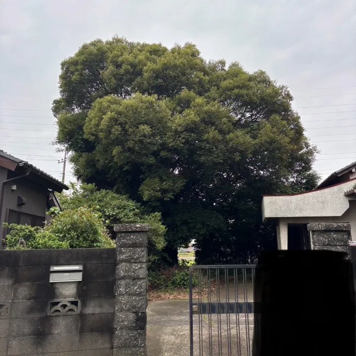 名称_未_設定-8 (5) (1)